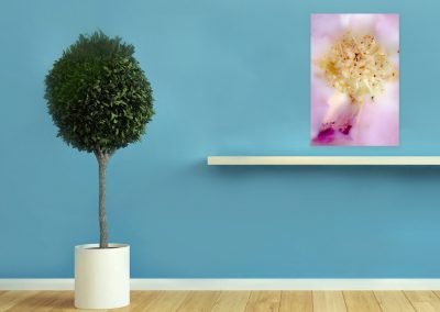 Abstract Photography